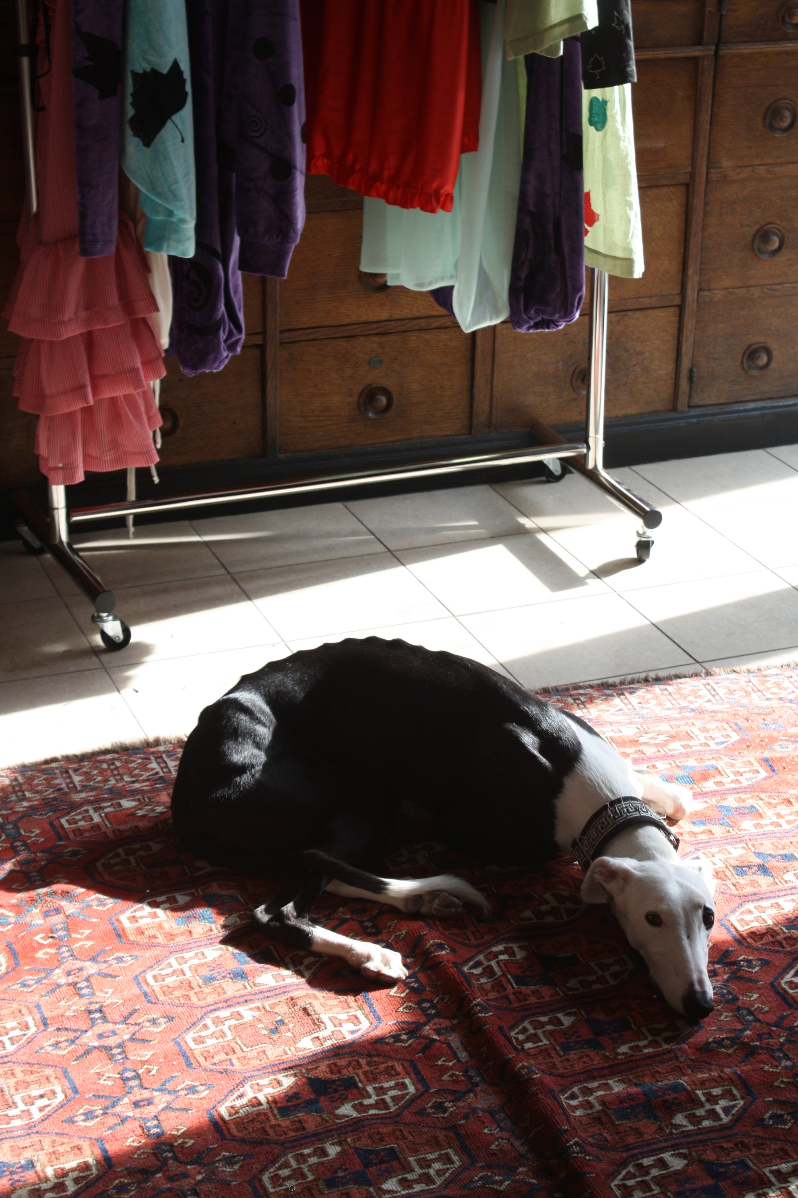 A coup d'œil into our Paris showroom.